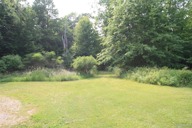 12850 E Rd, Burt, MI 48417 - view of grassy yard