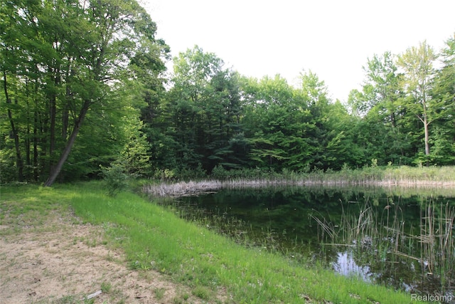 12850 E Rd, Burt, MI 48417 - water view with a heavily wooded area
