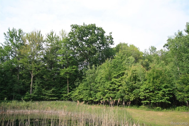 12850 E Rd, Burt, MI 48417 - view of tree filled area