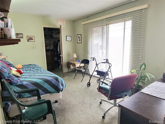 26001 Harding Sq, Oak Park, MI 48237 - bedroom featuring carpet flooring and a closet