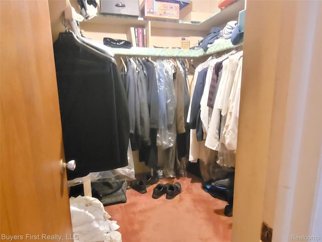26001 Harding Sq, Oak Park, MI 48237 - spacious closet with carpet flooring