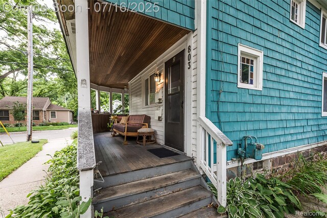 803 Jones Dr, Ann Arbor, MI 48105 - photo 4