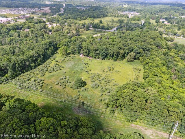 2290 N Latson Rd, Howell, MI 48855 - photo 9