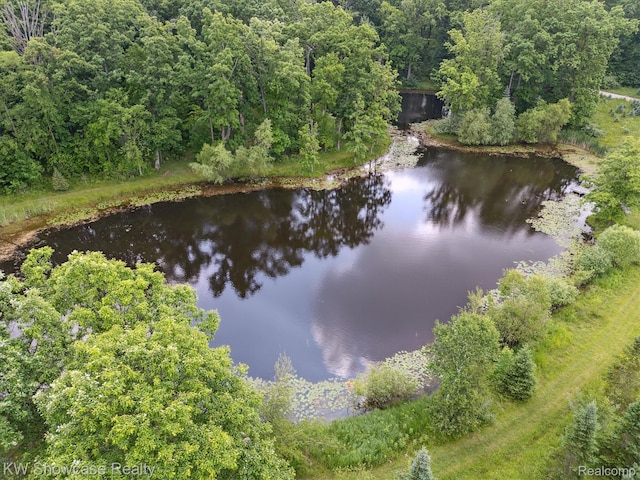 2290 N Latson Rd, Howell, MI 48855 - photo 4