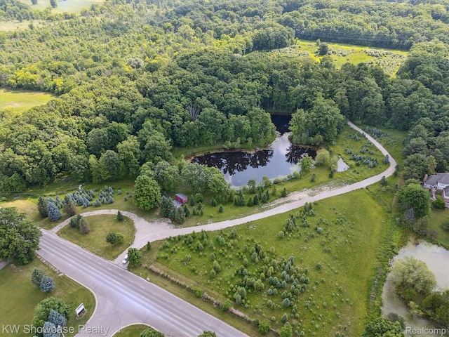 2290 N Latson Rd, Howell, MI 48855 - photo 12
