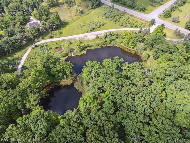 2290 N Latson Rd, Howell, MI 48855 - photo 11