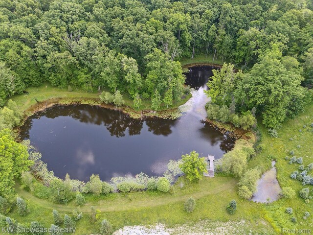2290 N Latson Rd, Howell, MI 48855 - photo 5