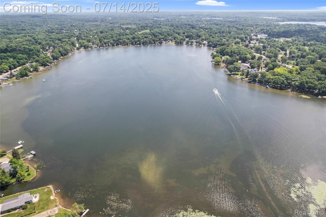 2985 Dana Pointe Dr, Pinckney, MI 48169 - drone / aerial view of a forest and a nearby body of water