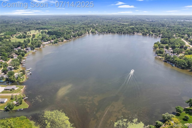 2985 Dana Pointe Dr, Pinckney, MI 48169 - aerial view of a forest and a nearby body of water