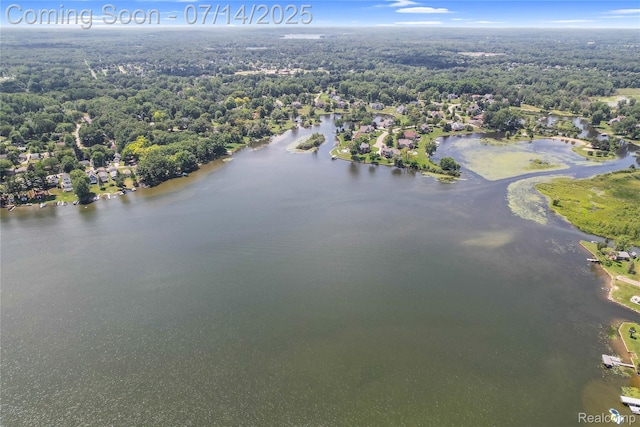 2985 Dana Pointe Dr, Pinckney, MI 48169 - drone / aerial view of a heavily wooded area and a nearby body of water