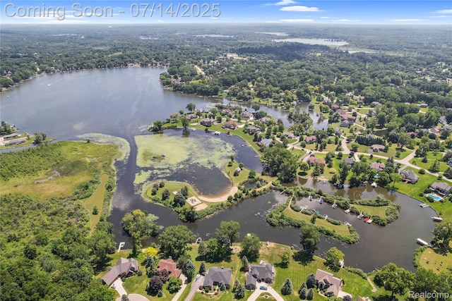 2985 Dana Pointe Dr, Pinckney, MI 48169 - aerial overview of property's location featuring a forest and a large body of water