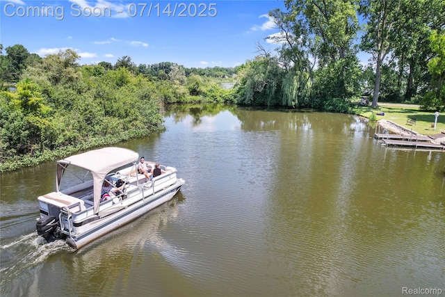 2985 Dana Pointe Dr, Pinckney, MI 48169 - dock featuring a water view