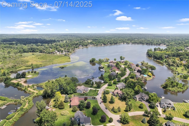 2985 Dana Pointe Dr, Pinckney, MI 48169 - aerial view of residential area featuring a forest and a large body of water