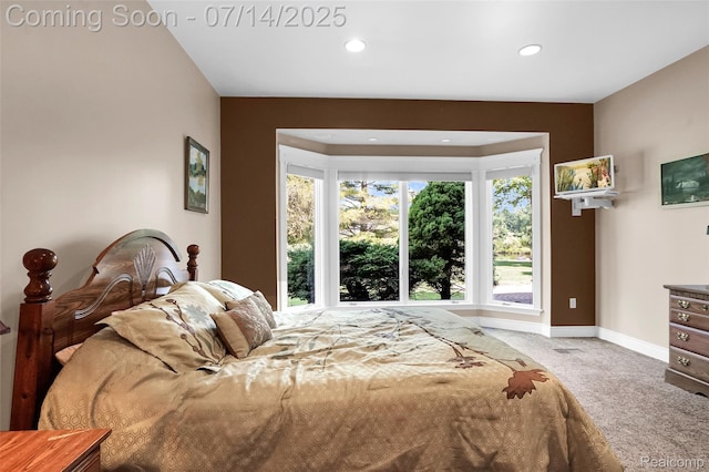 2985 Dana Pointe Dr, Pinckney, MI 48169 - bedroom featuring carpet floors and recessed lighting