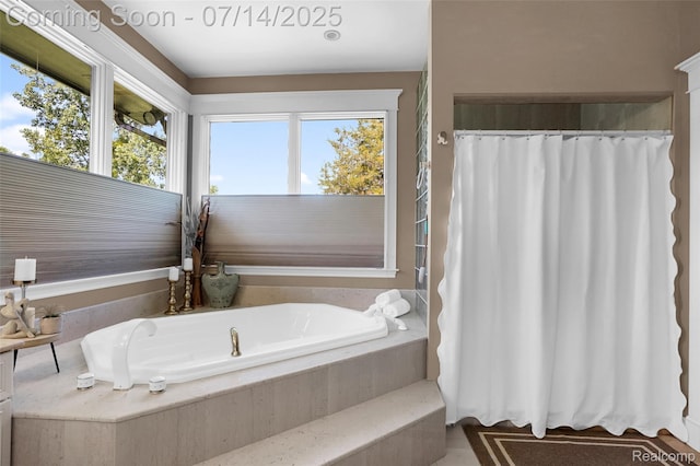 2985 Dana Pointe Dr, Pinckney, MI 48169 - bathroom featuring healthy amount of natural light and a bath