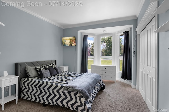 2985 Dana Pointe Dr, Pinckney, MI 48169 - bedroom with carpet floors, crown molding, and a closet