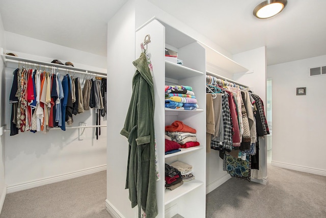 7251 Beverly Dr, South Haven, MI 49090 - spacious closet with carpet floors