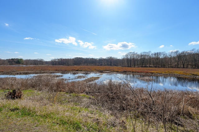 7350 Cedar Creek Rd, Delton, MI 49046 - water view featuring a forest