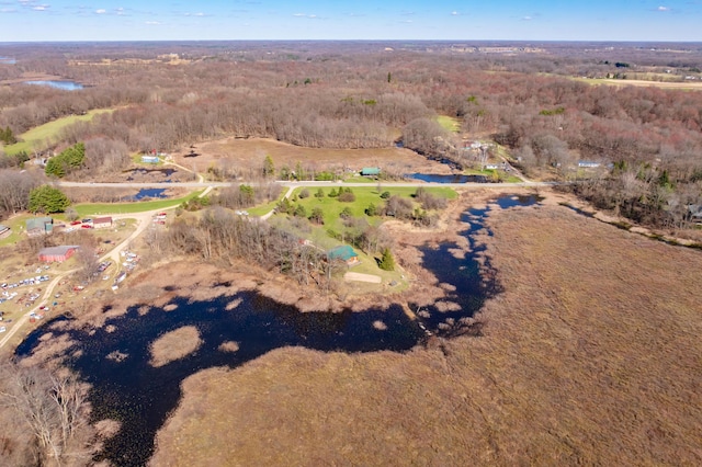 7350 Cedar Creek Rd, Delton, MI 49046 - aerial view of property's location with a nearby body of water