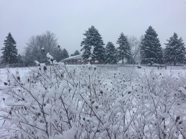 8175 Chamberlin Rd, Dexter, MI 48130 - exterior view