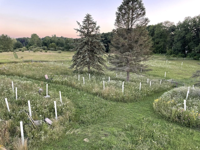 8175 Chamberlin Rd, Dexter, MI 48130 - view of yard with a view of rural / pastoral area