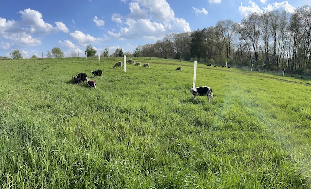 8175 Chamberlin Rd, Dexter, MI 48130 - view of yard with a rural view