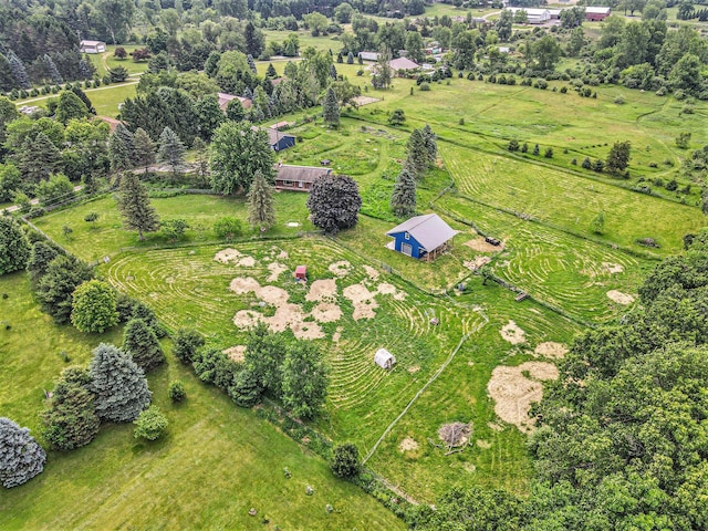 8175 Chamberlin Rd, Dexter, MI 48130 - view of rural area featuring a tree filled landscape