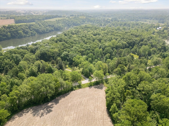 6860 Ashley Ave NE, Belding, MI 48809 - aerial view of a forest and a nearby body of water