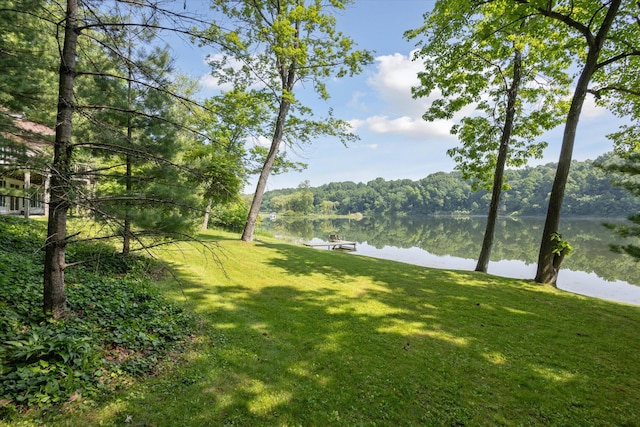 6860 Ashley Ave NE, Belding, MI 48809 - view of green lawn with a water view