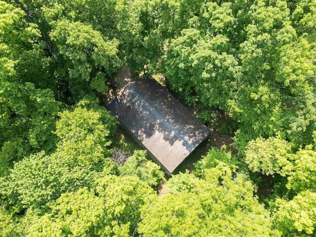 6860 Ashley Ave NE, Belding, MI 48809 - bird's eye view