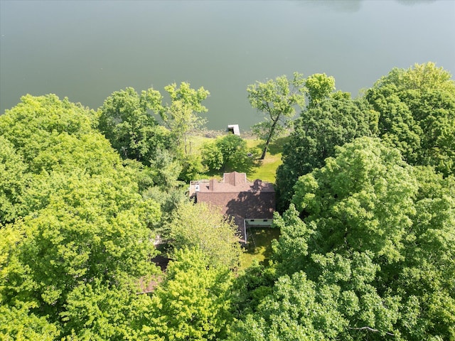 6860 Ashley Ave NE, Belding, MI 48809 - view from above of property with a heavily wooded area