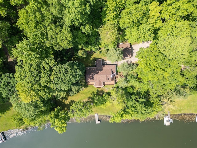 6860 Ashley Ave NE, Belding, MI 48809 - view of subject property featuring a large body of water