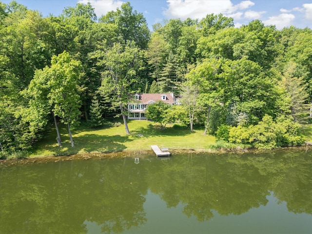 6860 Ashley Ave NE, Belding, MI 48809 - view from above of property featuring a large body of water