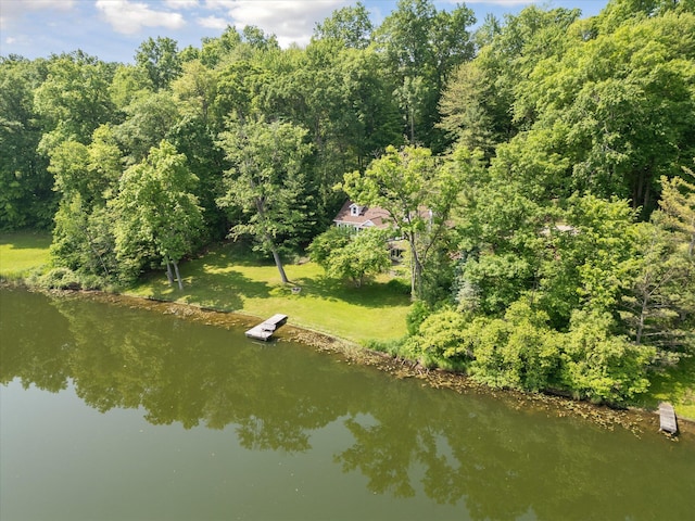 6860 Ashley Ave NE, Belding, MI 48809 - aerial view of property and surrounding area with a nearby body of water
