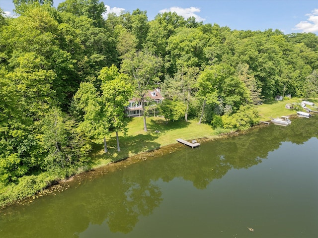 6860 Ashley Ave NE, Belding, MI 48809 - view from above of property with a large body of water
