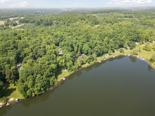 6860 Ashley Ave NE, Belding, MI 48809 - drone / aerial view of a heavily wooded area and a large body of water