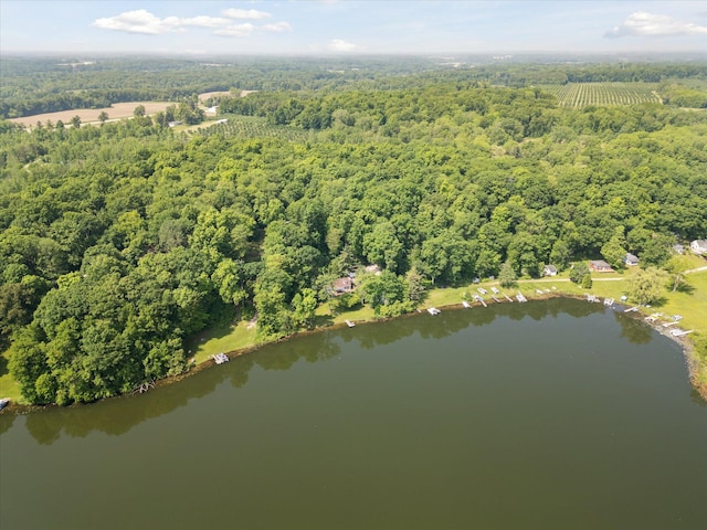 6860 Ashley Ave NE, Belding, MI 48809 - view of property location with a large body of water and a heavily wooded area