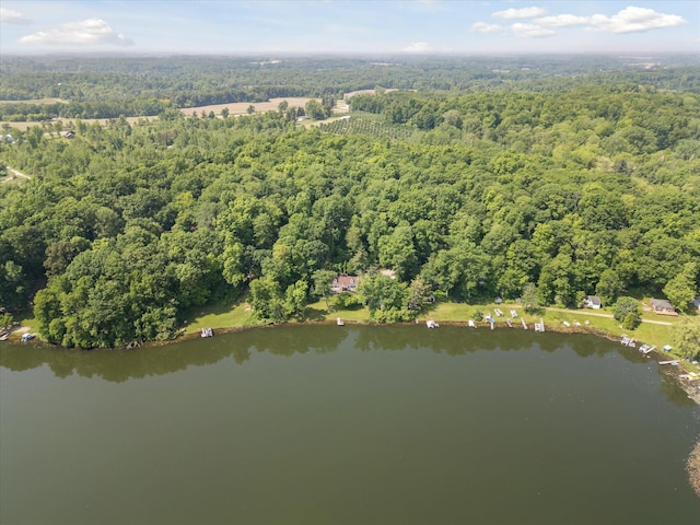6860 Ashley Ave NE, Belding, MI 48809 - aerial view of property's location with a forest and a nearby body of water