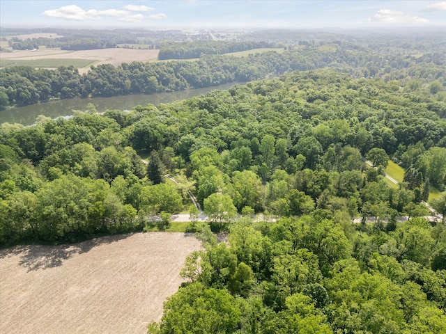 6860 Ashley Ave NE, Belding, MI 48809 - bird's eye view of a forest