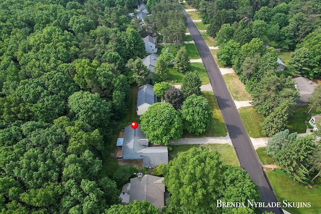 13412 Forest Park Dr, Grand Haven, MI 49417 - aerial overview of property's location with nearby suburban area