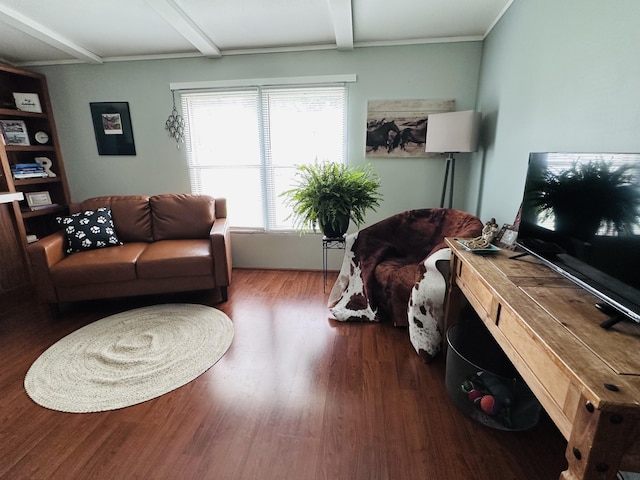 5355 Meadowmoor Dr NE, Belmont, MI 49306 - living room featuring wood finished floors and beamed ceiling