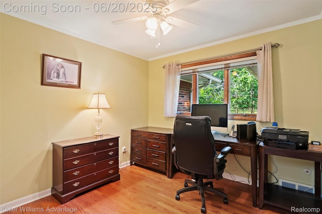 34030 Hampshire St, Livonia, MI 48154 - office space featuring light wood-style floors, ceiling fan, and ornamental molding