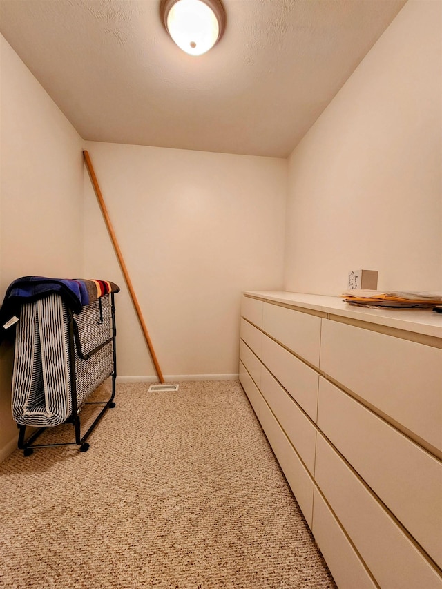8456 Torreyhill Ct, Elmira, MI 49730 - walk in closet with light colored carpet