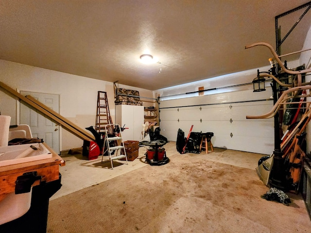 8456 Torreyhill Ct, Elmira, MI 49730 - view of garage