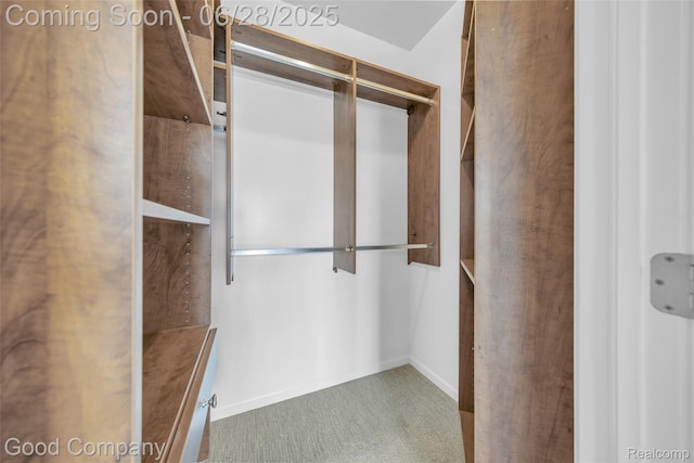41606 Hamlet Ln, Novi, MI 48375 - spacious closet with carpet