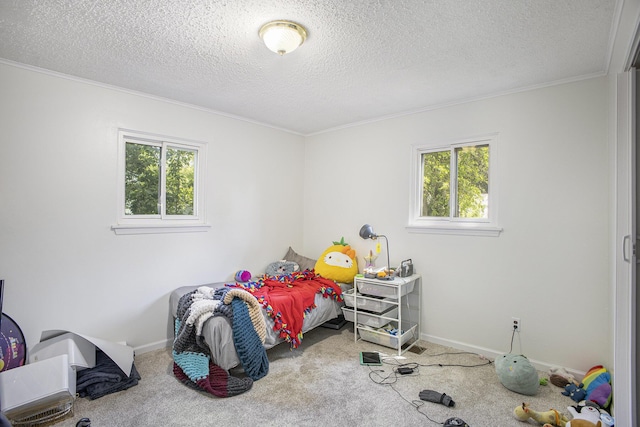 511 Lane St, Chelsea, MI 48118 - photo 8