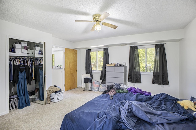 511 Lane St, Chelsea, MI 48118 - photo 16