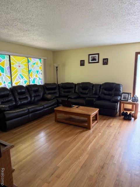 5496 Elizabeth Lake Rd, Waterford, MI 48327 - living room featuring wood finished floors and a textured ceiling