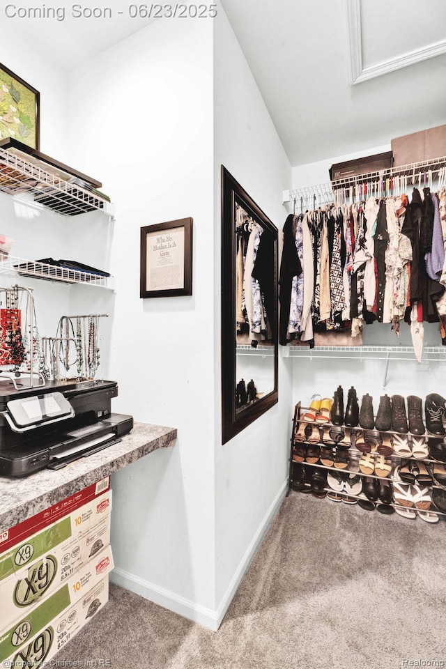 3581 Oakmonte Blvd Unit 60, Rochester, MI 48306 - walk in closet featuring carpet