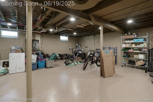 25845 Salem Rd, Huntington Woods, MI 48070 - basement featuring healthy amount of natural light
